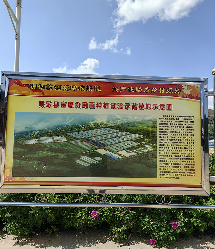 工程案例